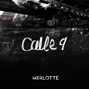 ดาวน์โหลดและฟังเพลง 9th Street พร้อมเนื้อเพลงจาก Merlotte