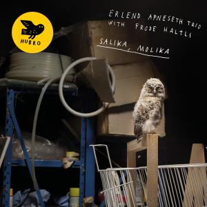 Album Salika, Molika from Erlend Apneseth Trio