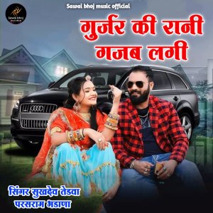 Listen to Gurjar Ki Rani Gajab Lagi song with lyrics from Sukhdev Tedwa