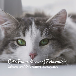 Cat's Piano Meow of Relaxation: Calming and Chill Nature Atmosphere dari Jazz Piano Essentials