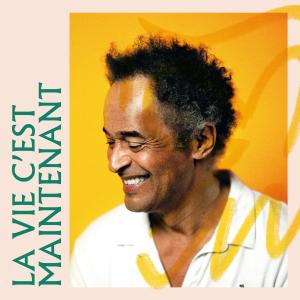 Album La vie c'est maintenant from Yannick Noah