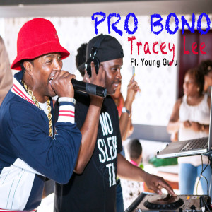 Listen to Pro Bono (feat. Young Guru) (Explicit) song with lyrics from Tracey Lee