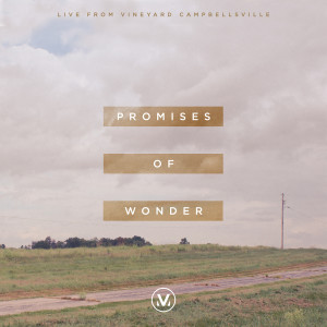 Listen to Your Great Love for Me(Live) song with lyrics from Vineyard Worship