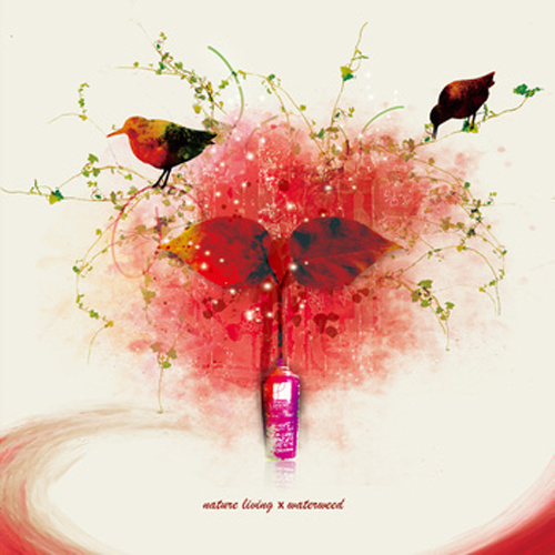 waterweed