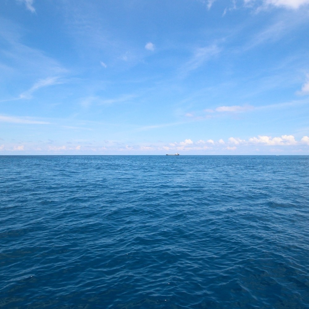 Ocean on a Windy Day
