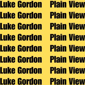 Luke Gordon的專輯Plain View/If I Were A Millionaire
