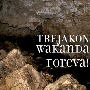 收听TREJAKON的Wakanda Foreva! (Explicit)歌词歌曲