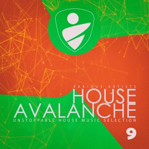 Various Artists的專輯House Avalanche, Vol. 9