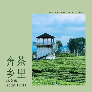 Listen to 奔茶乡里 (完整版) song with lyrics from 杨文强