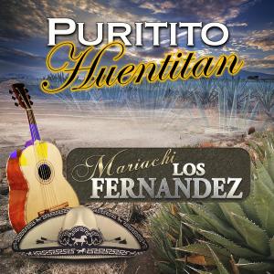收聽Mariachi Los Fernandez的No Me Se Rajar歌詞歌曲