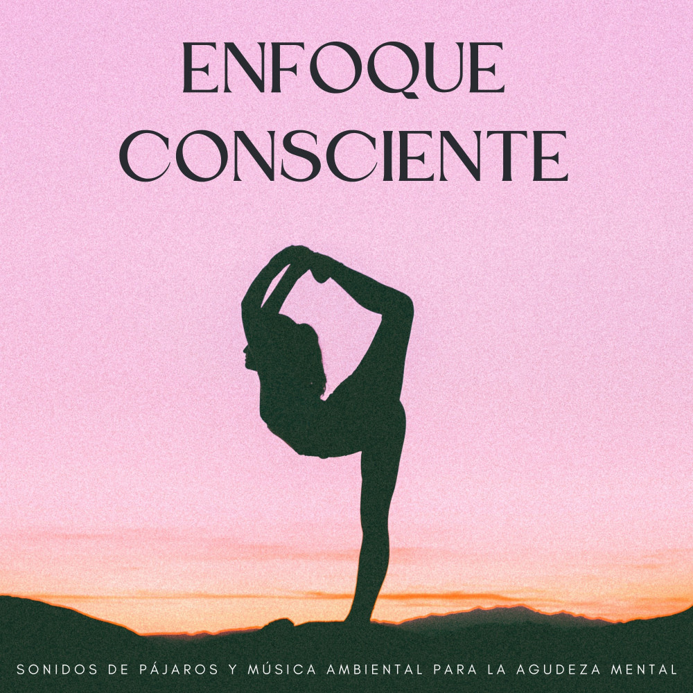 Resonancias De Meditación De Pájaros