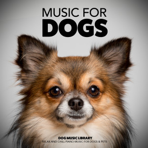 收听Dog Music Library的Only Piano歌词歌曲