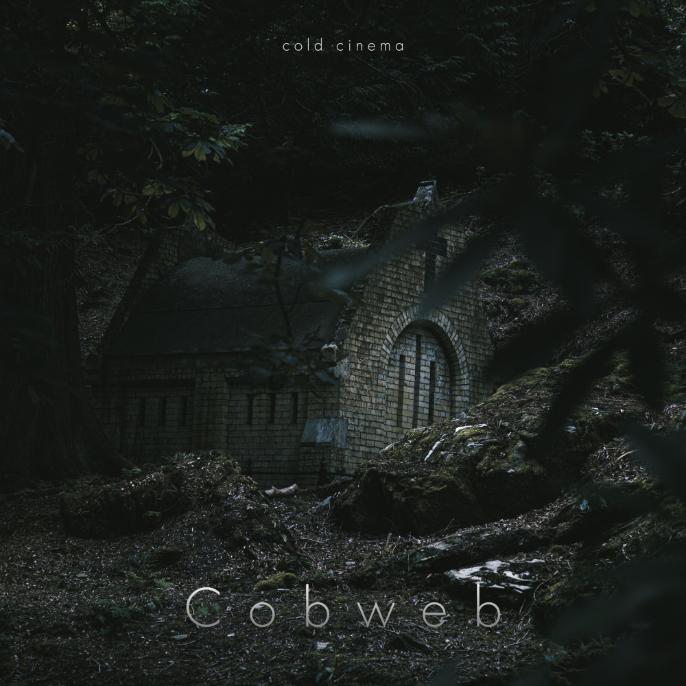 Cobweb