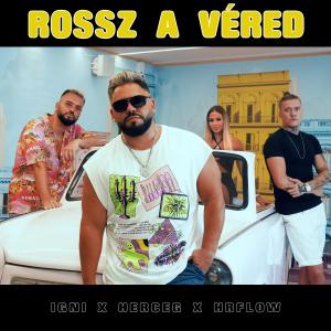Listen to Rossz a véred (feat. Herceg & HRflow) song with lyrics from IGNI