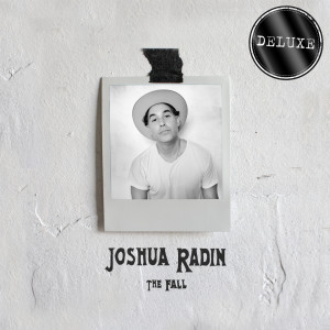 收聽Joshua Radin的Falling歌詞歌曲