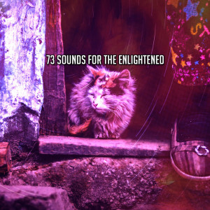 อัลบัม 73 Sounds For The Enlightened ศิลปิน Sounds Of Nature
