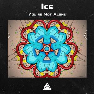 Listen to You're Not Alone song with lyrics from Ice