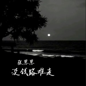 Listen to 没钱路难走 song with lyrics from 张思思