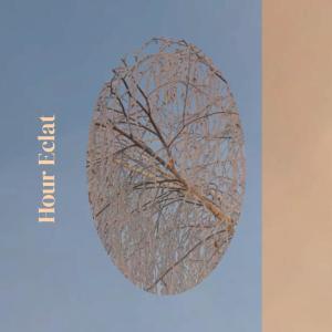 Album Hour Eclat from Various