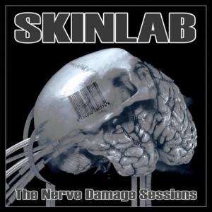 ดาวน์โหลดและฟังเพลง Bullet With Butterfly Wings (Cover Version) (Smashing Pumpkins cover) พร้อมเนื้อเพลงจาก Skinlab