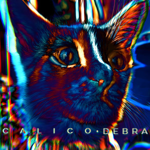 Album Calico (Explicit) from Debra