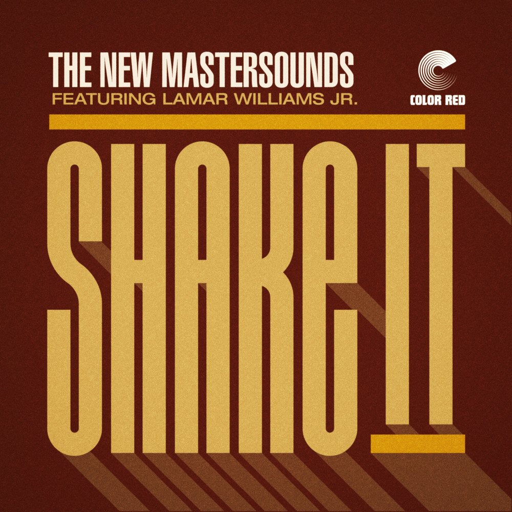 Shake It (45)