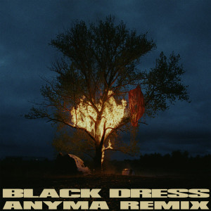 070 Shake的專輯Black Dress (Anyma Remix)