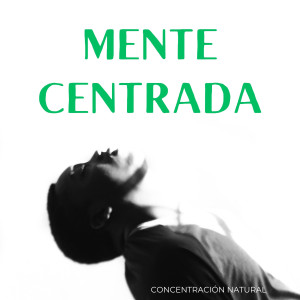 De Mentes y Amantes的專輯Mente Centrada: Concentración Natural