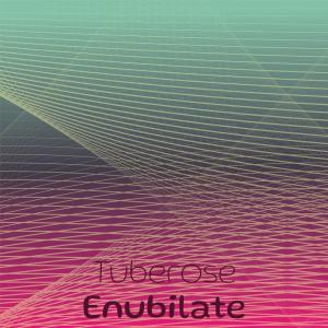 Listen to Tuberose Enubilate song with lyrics from Cecilie Royel