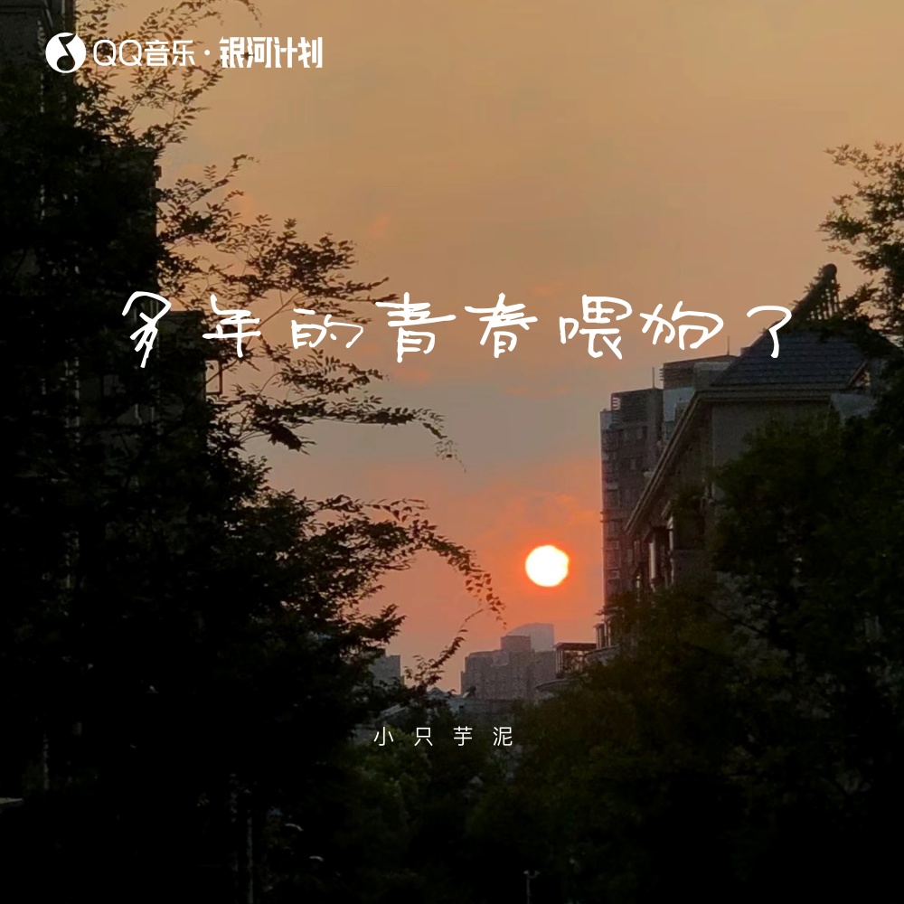 多年的青春喂狗了 (伴奏)