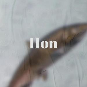 Dengarkan lagu Coinsure nyanyian Todo Camil dengan lirik