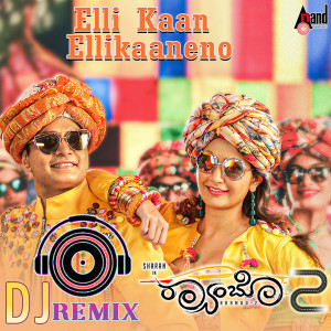 Puneeth Rajkumar的專輯Elli Kaan Ellikaaneno (DJ Remix)