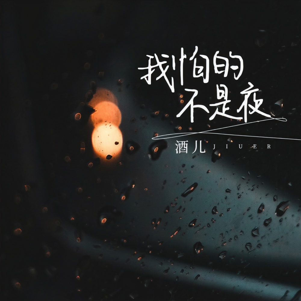 我怕的不是夜 (DJ版)