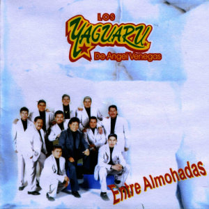 收聽Los Yaguaru的Amor Sin Primavera歌詞歌曲