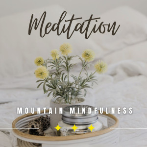 cloudy night的專輯Mountain Mindfulness: Nature's Peaceful Meditation