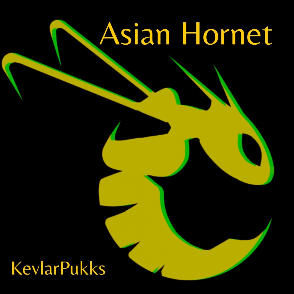 Asian Hornet