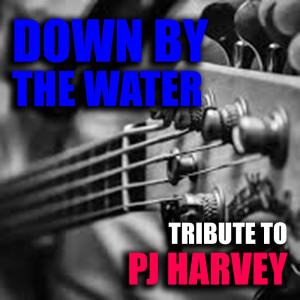 Album Down By The Water Tribute To PJ Harvey from The Insurgency