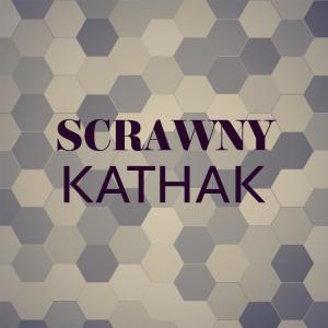 Various Artists的專輯Scrawny Kathak