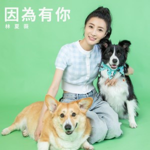 Album 因为有你 oleh 林夏薇