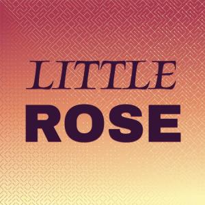 Dengarkan Cruel Sea lagu dari Billy J Kramer & The Dakotas dengan lirik