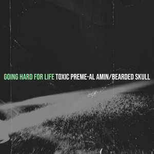 Listen to Going Hard for Life (Explicit) song with lyrics from Toxic preme-Al amin