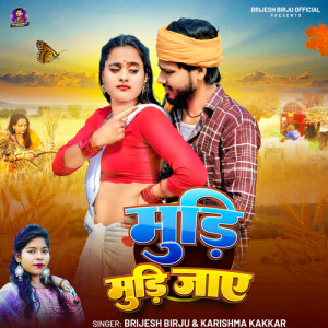 Listen to Mudi Mudi Jaye song with lyrics from Brijesh Birju