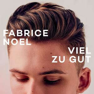 收聽Fabrice Noel的Viel zu gut歌詞歌曲
