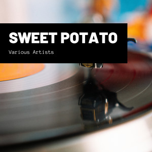 Listen to Sweet Miss song with lyrics from Stan Getz