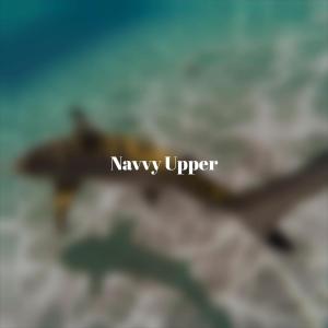 Various的专辑Navvy Upper