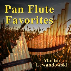 收聽Martin Lewandowski的Autumn Roses歌詞歌曲