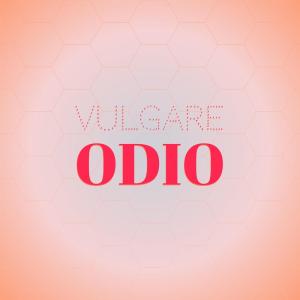 อัลบัม Vulgare Odio ศิลปิน Various