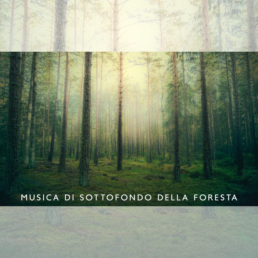 Cura della Foresta