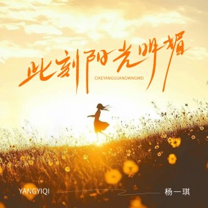 Listen to 此刻阳光明媚 song with lyrics from 杨一琪