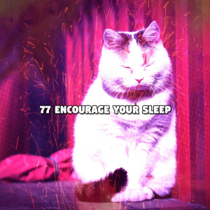 Baby Sleep的专辑77 Encourage Your Sleep